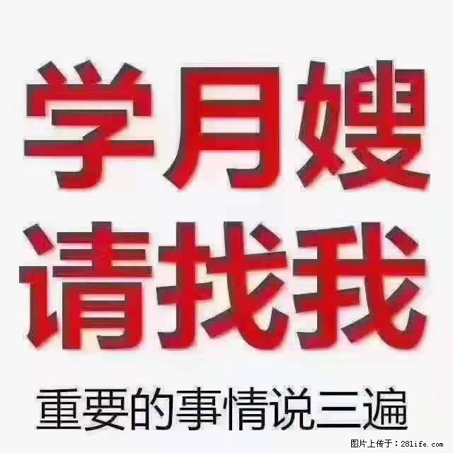 为什么要学习月嫂,育婴师? - 其他广告 - 广告专区 - 连云港分类信息 - 连云港28生活网 lyg.28life.com