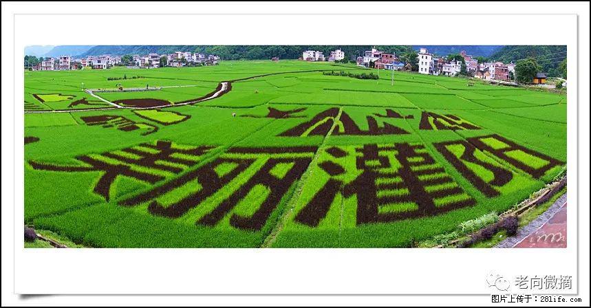 【春天,广西桂林灌阳县向您发出邀请!】开篇 - 游山玩水 - 连云港生活社区 - 连云港28生活网 lyg.28life.com