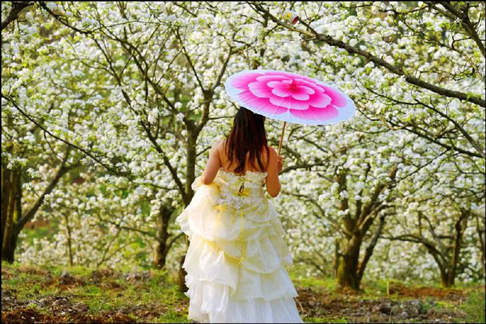 【春天，广西桂林灌阳县向您发出邀请！】我们在灌阳看梨花 - 游山玩水 - 连云港生活社区 - 连云港28生活网 lyg.28life.com