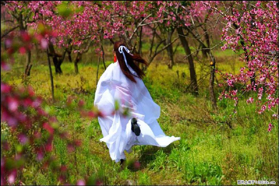 【春天,广西桂林灌阳县向您发出邀请!】官庄村有个醉美的桃花园 - 游山玩水 - 连云港生活社区 - 连云港28生活网 lyg.28life.com