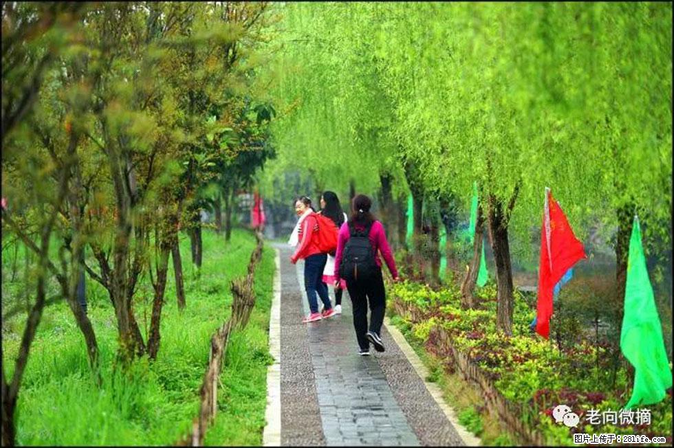 【春天，广西桂林灌阳县向您发出邀请！】江口老街又逢春 - 游山玩水 - 连云港生活社区 - 连云港28生活网 lyg.28life.com