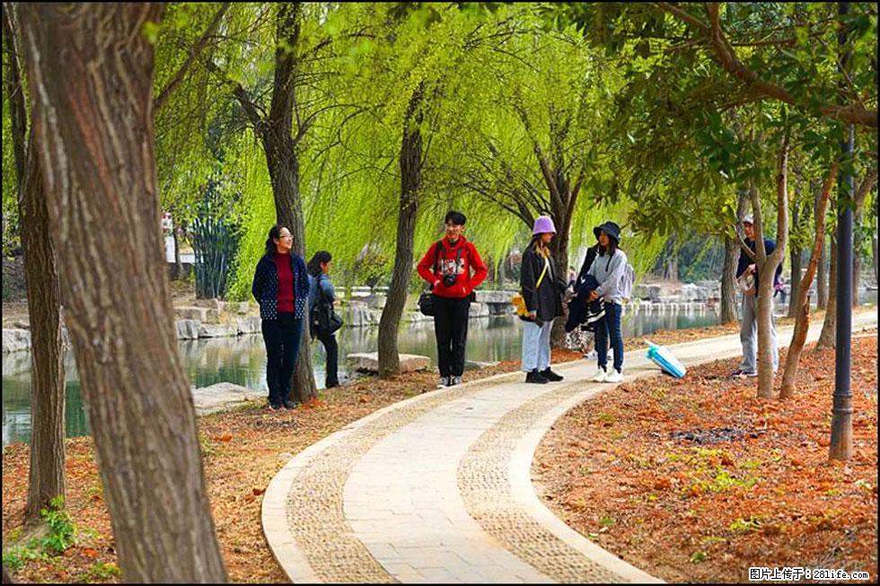 【春天，广西桂林灌阳县向您发出邀请！】江口老街又逢春 - 游山玩水 - 连云港生活社区 - 连云港28生活网 lyg.28life.com