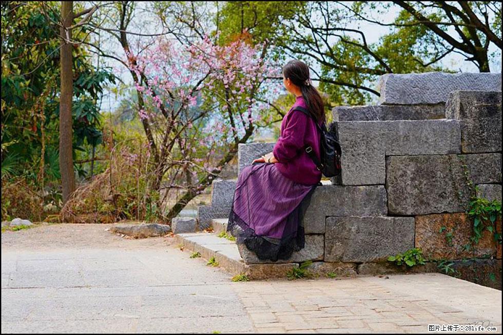 【春天，广西桂林灌阳县向您发出邀请！】江口老街又逢春 - 游山玩水 - 连云港生活社区 - 连云港28生活网 lyg.28life.com