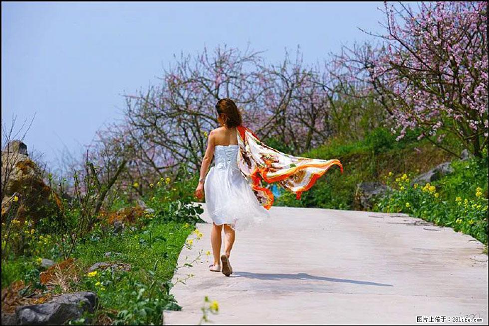 【春天，广西桂林灌阳县向您发出邀请！】望月岭上桃花开 - 游山玩水 - 连云港生活社区 - 连云港28生活网 lyg.28life.com