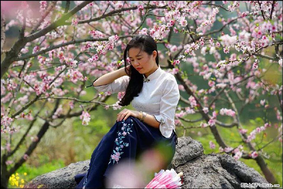 【春天，广西桂林灌阳县向您发出邀请！】望月岭上桃花开 - 游山玩水 - 连云港生活社区 - 连云港28生活网 lyg.28life.com