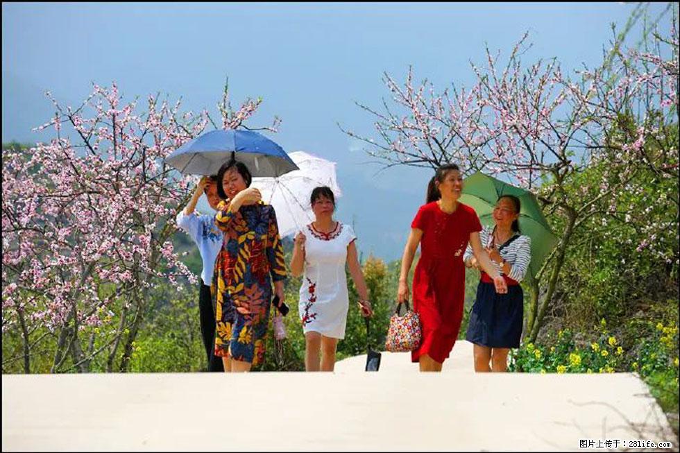 【春天，广西桂林灌阳县向您发出邀请！】望月岭上桃花开 - 游山玩水 - 连云港生活社区 - 连云港28生活网 lyg.28life.com