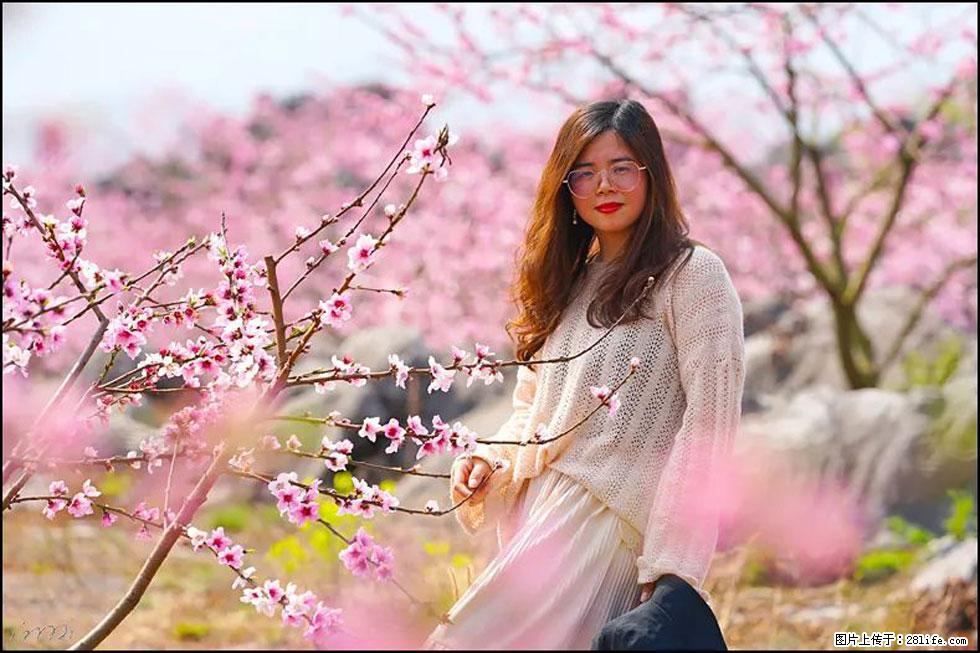 【春天，广西桂林灌阳县向您发出邀请！】望月岭上桃花开 - 游山玩水 - 连云港生活社区 - 连云港28生活网 lyg.28life.com