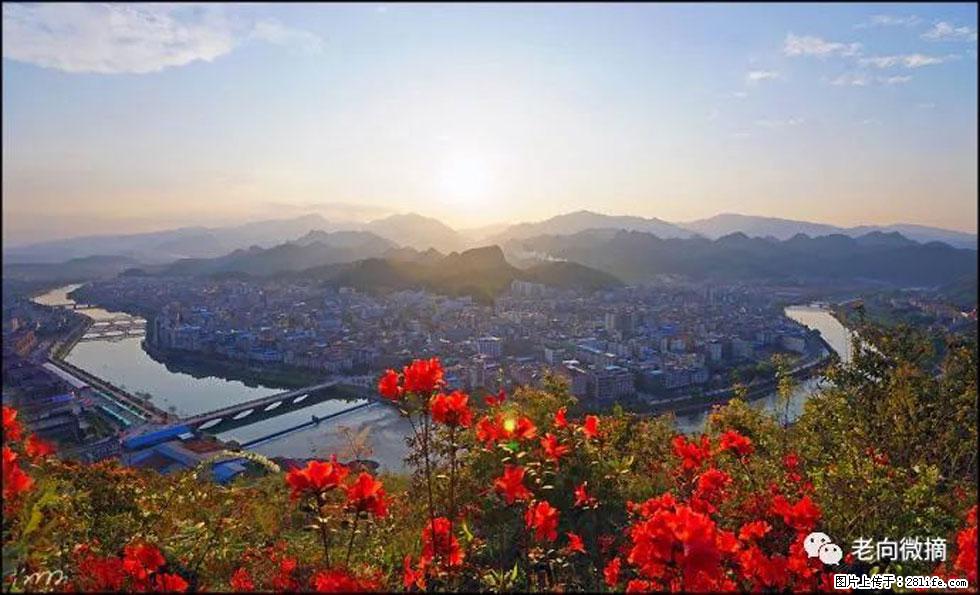 【春天,广西桂林灌阳县向您发出邀请!】登麒麟山,相约映山红 - 游山玩水 - 连云港生活社区 - 连云港28生活网 lyg.28life.com