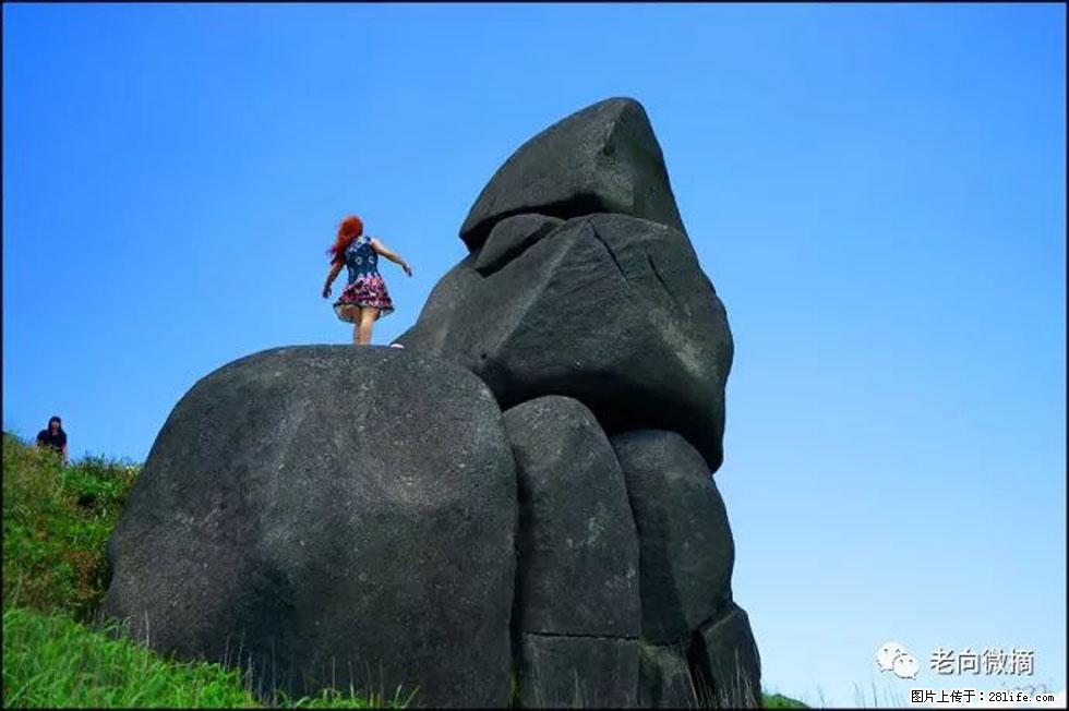 【春天,广西桂林灌阳县向您发出邀请!】宝盖山上映山红 - 游山玩水 - 连云港生活社区 - 连云港28生活网 lyg.28life.com