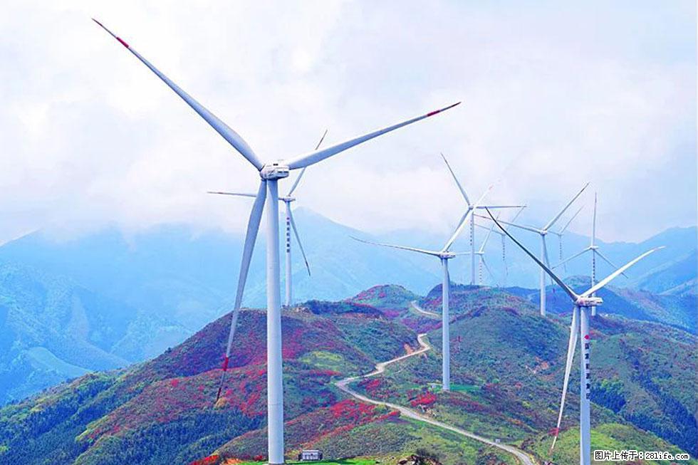 【春天,广西桂林灌阳县向您发出邀请!】春木界上映山红 - 游山玩水 - 连云港生活社区 - 连云港28生活网 lyg.28life.com