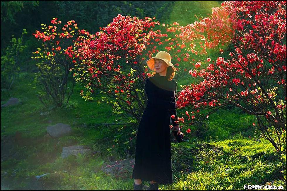 【春天,广西桂林灌阳县向您发出邀请!】春木界上映山红 - 游山玩水 - 连云港生活社区 - 连云港28生活网 lyg.28life.com