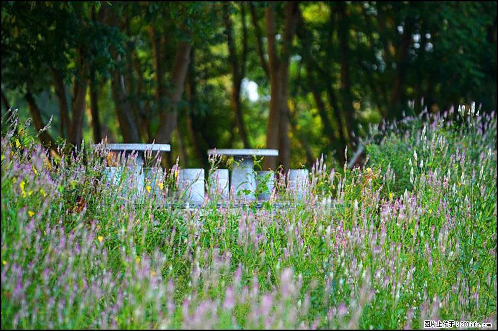 【春天,广西桂林灌阳县向您发出邀请!】熊家寨湿地公园 - 游山玩水 - 连云港生活社区 - 连云港28生活网 lyg.28life.com