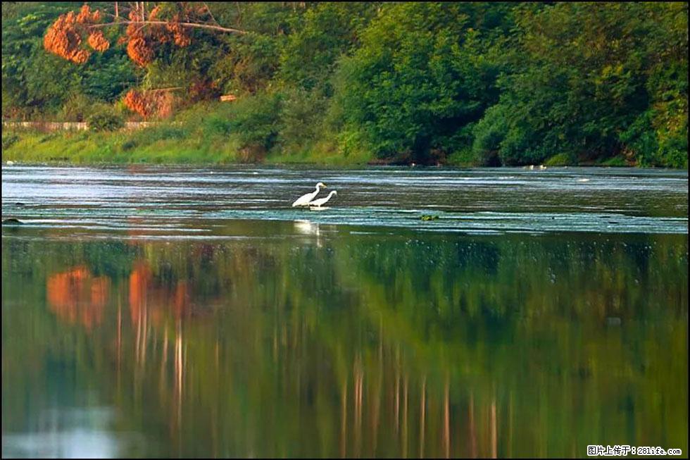 【春天,广西桂林灌阳县向您发出邀请!】熊家寨湿地公园 - 游山玩水 - 连云港生活社区 - 连云港28生活网 lyg.28life.com