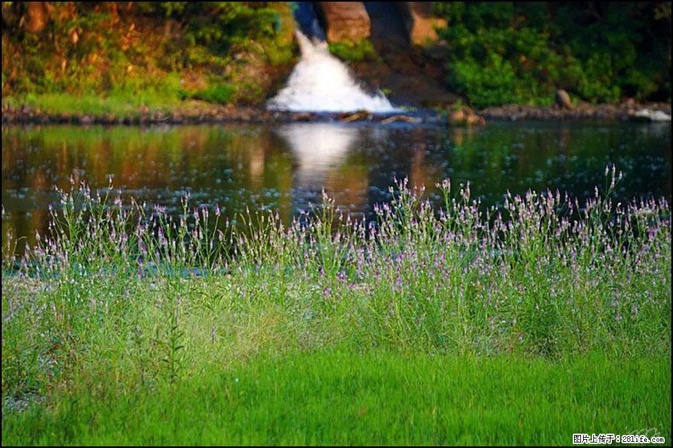 【春天,广西桂林灌阳县向您发出邀请!】熊家寨湿地公园 - 游山玩水 - 连云港生活社区 - 连云港28生活网 lyg.28life.com