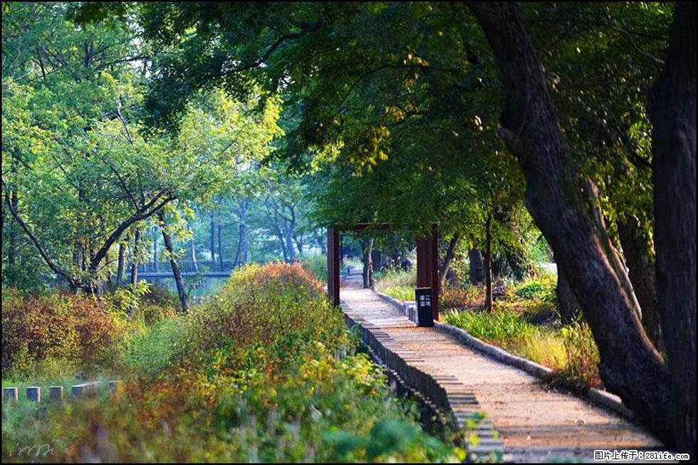 【春天,广西桂林灌阳县向您发出邀请!】熊家寨湿地公园 - 游山玩水 - 连云港生活社区 - 连云港28生活网 lyg.28life.com