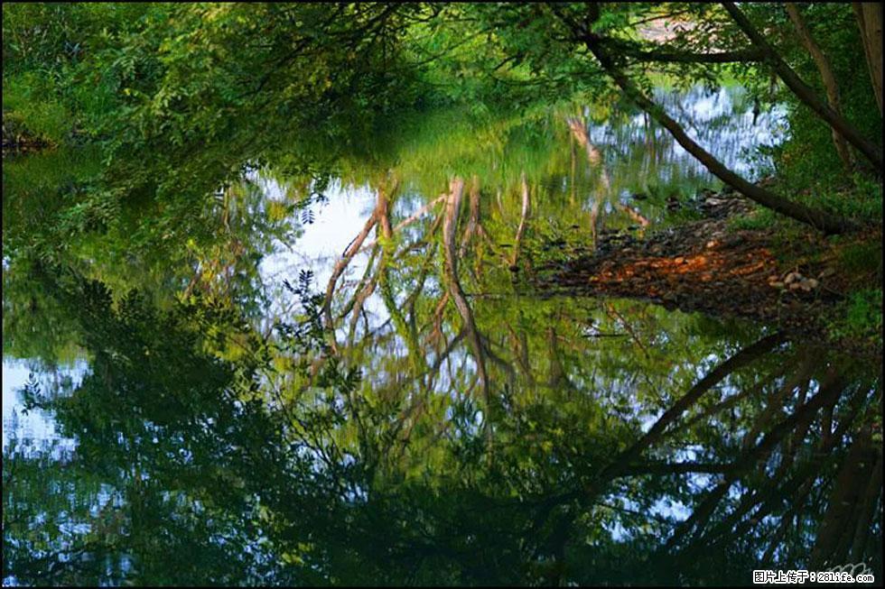 【春天,广西桂林灌阳县向您发出邀请!】熊家寨湿地公园 - 游山玩水 - 连云港生活社区 - 连云港28生活网 lyg.28life.com