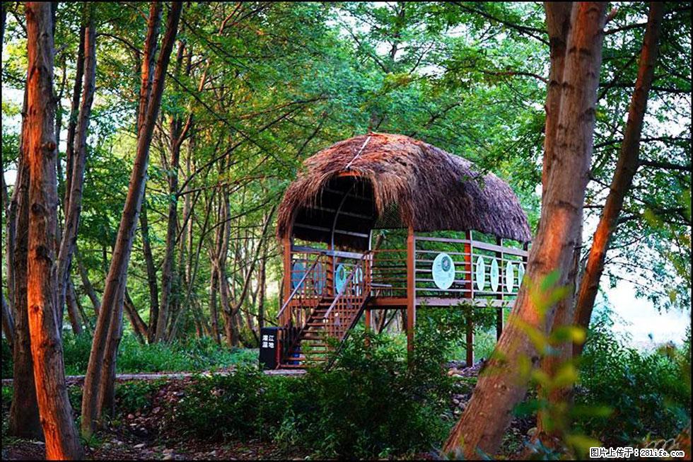 【春天,广西桂林灌阳县向您发出邀请!】熊家寨湿地公园 - 游山玩水 - 连云港生活社区 - 连云港28生活网 lyg.28life.com