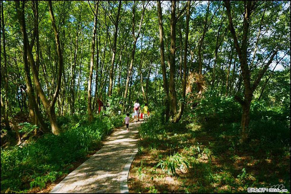 【春天,广西桂林灌阳县向您发出邀请!】熊家寨湿地公园 - 游山玩水 - 连云港生活社区 - 连云港28生活网 lyg.28life.com