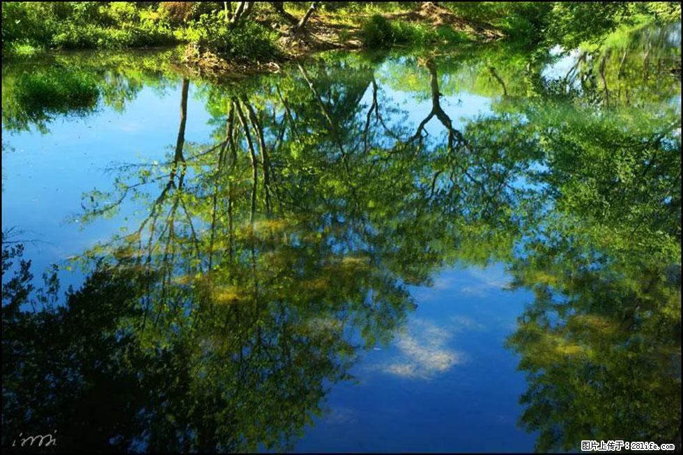 【春天,广西桂林灌阳县向您发出邀请!】熊家寨湿地公园 - 游山玩水 - 连云港生活社区 - 连云港28生活网 lyg.28life.com