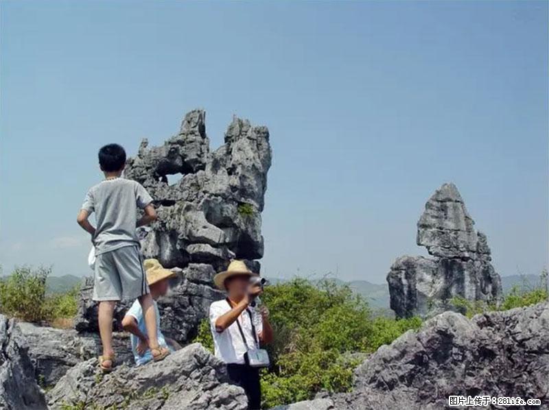 桂林旅游名城景点:灌阳文市石林 - 游山玩水 - 连云港生活社区 - 连云港28生活网 lyg.28life.com