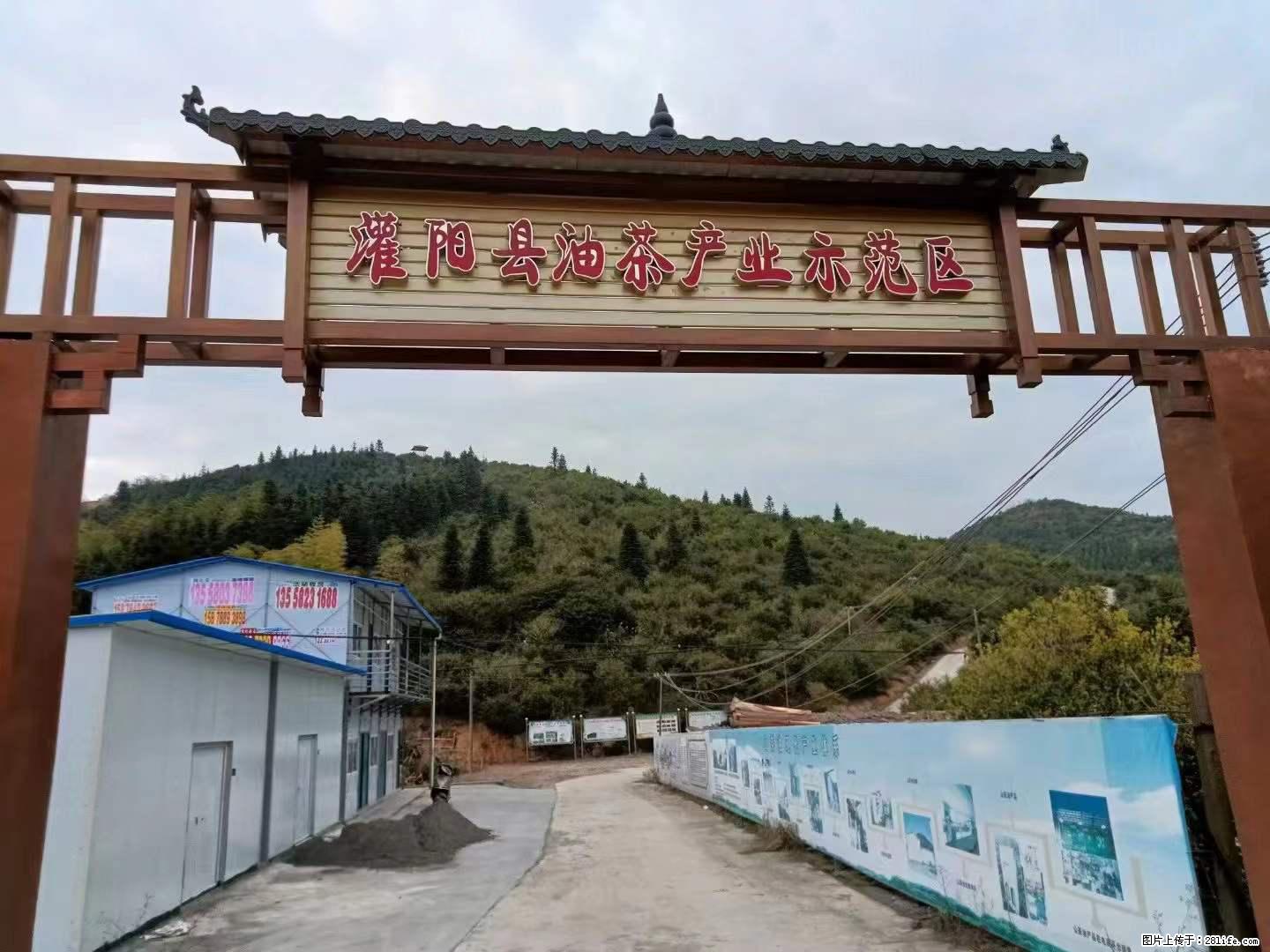 【灌阳县油茶产业示范区】一个有着充实的精神生活的人,对待身外之物自会有一种淡泊的态度 - 土特产 - 饮食特产 - 连云港分类信息 - 连云港28生活网 lyg.28life.com