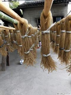 【灌阳正宗红薯粉】美女家里自己做的,干净卫生,假一赔十,价格合理,抢购电话:13737312895 - 连云港28生活网 lyg.28life.com