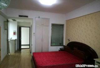 急租国.大国际花园单身公寓朝南精装修拎包即住紧邻女人街 - 连云港28生活网 lyg.28life.com