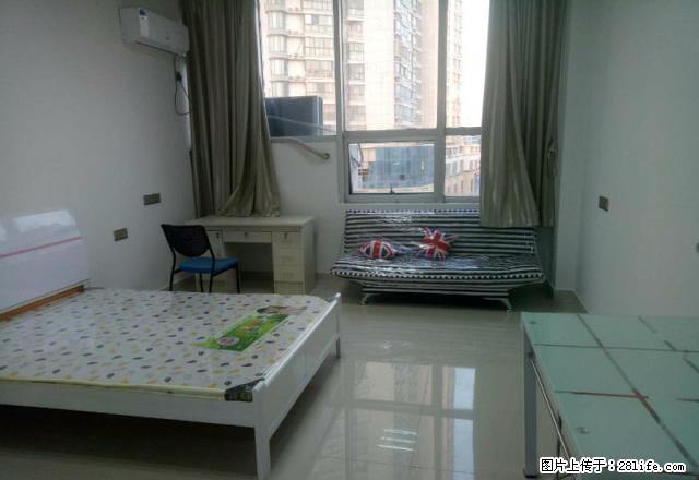 急租BRT院前康鹏大厦 精装公寓 全新装修 拎包就住 - 房屋出租 - 房屋租售 - 连云港分类信息 - 连云港28生活网 lyg.28life.com