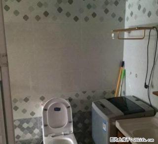 (单间出租)豪华装修，实惠价，单身公寓的优秀之家！ - 连云港28生活网 lyg.28life.com