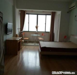 巨龙南路君悦财富广场旁八百城市走廊精装公寓拎包就住周边配套全 - 连云港28生活网 lyg.28life.com