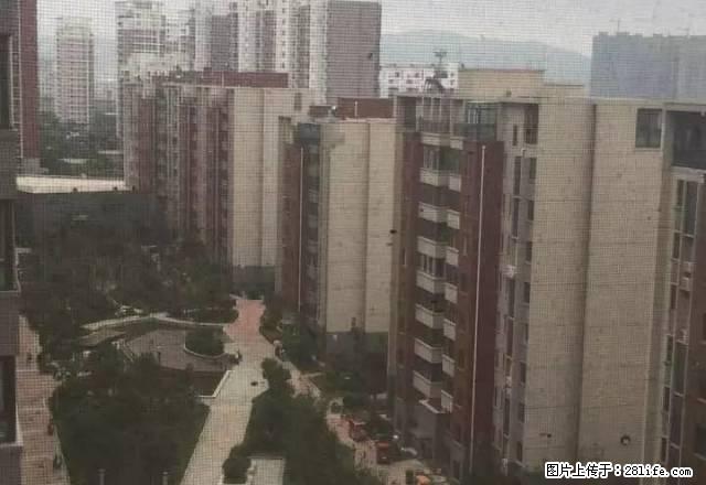 出租一品苑精装2室电梯房,家电家具齐全 - 房屋出租 - 房屋租售 - 连云港分类信息 - 连云港28生活网 lyg.28life.com