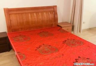苍梧小区附近单身公寓招租 月租1500接受半年付押金2000 - 连云港28生活网 lyg.28life.com