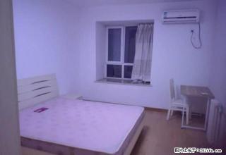 急租御景龙湾精装两室拎包即住 紫金公馆凤凰名都学校对面 - 连云港28生活网 lyg.28life.com