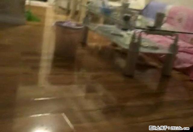 东新绿苑 精装修 市中心地段 邻近步行街 1100限时出租。 - 房屋出租 - 房屋租售 - 连云港分类信息 - 连云港28生活网 lyg.28life.com