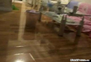 东新绿苑 精装修 市中心地段 邻近步行街 1100限时出租。 - 连云港28生活网 lyg.28life.com