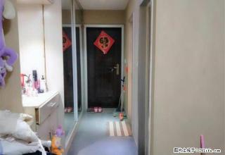新贵都 精装修 东户采光刺眼 品牌家具 1300限时出租 - 连云港28生活网 lyg.28life.com