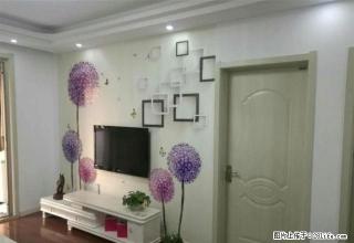 海州高j中学东校区旁书香壹号精装三室未住一次的新房家具家电全 - 连云港28生活网 lyg.28life.com