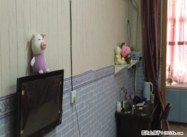 双盛花园精装修领包即住靠紫金公馆天顺国际君悦财富明珠皇冠 - 房屋出租 - 房屋租售 - 连云港分类信息 - 连云港28生活网 lyg.28life.com