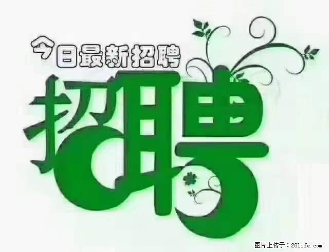 【招聘摄像师】待遇:试用期6000元/月,转正7000元/月+五险一金+餐补+节日福利+奖金 - 职场交流 - 连云港生活社区 - 连云港28生活网 lyg.28life.com
