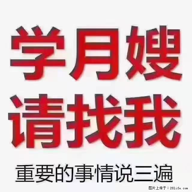 【招聘】月嫂,上海徐汇区 - 其他招聘信息 - 招聘求职 - 连云港分类信息 - 连云港28生活网 lyg.28life.com
