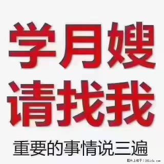 【招聘】月嫂,上海徐汇区 - 连云港28生活网 lyg.28life.com