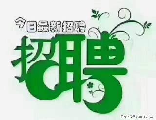 上海隔离酒店招人:55岁以下 男女不限 - 连云港28生活网 lyg.28life.com