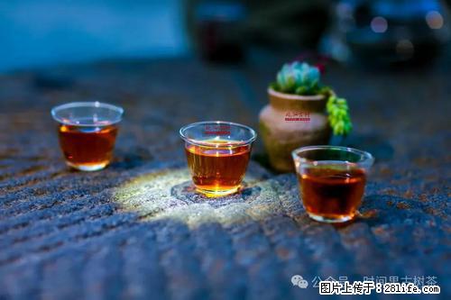 时间果百年古树2025年春红茶 - 购物交流 - 连云港生活社区 - 连云港28生活网 lyg.28life.com