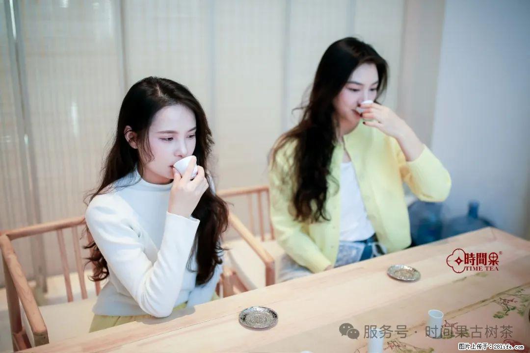 时间果百年古树龙珠普洱生茶 - 购物交流 - 连云港生活社区 - 连云港28生活网 lyg.28life.com