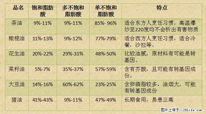 揭秘茶油的5大核心营养成分!被称为人体健康的“守护盾”! - 连云港生活资讯 - 连云港28生活网 lyg.28life.com