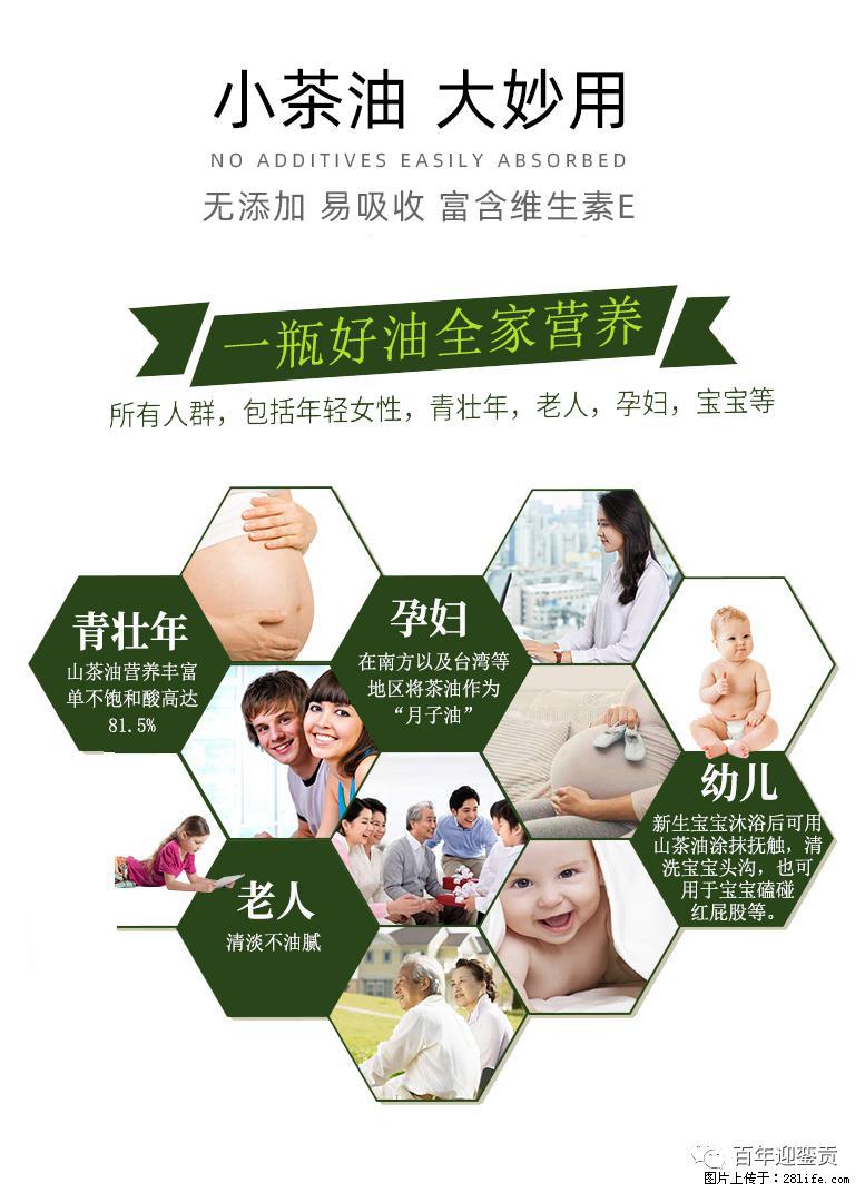 世界没有真相,只有认知,最好的食用油是中国的山茶油! - 连云港生活资讯 - 连云港28生活网 lyg.28life.com