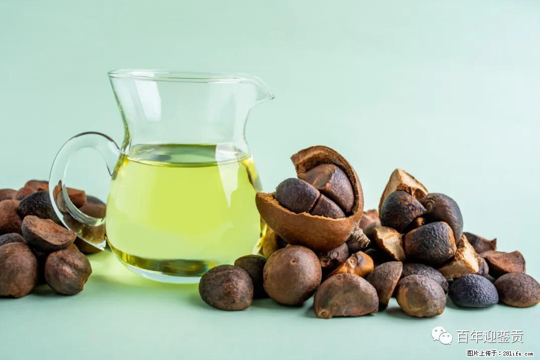 世界没有真相,只有认知,最好的食用油是中国的山茶油! - 连云港生活资讯 - 连云港28生活网 lyg.28life.com