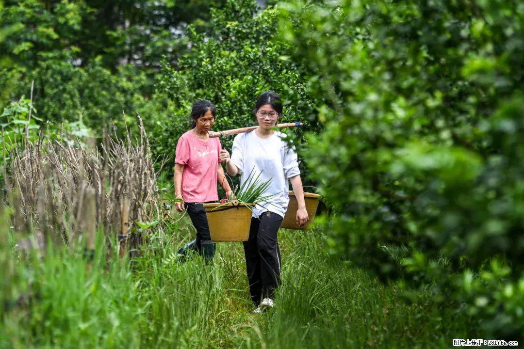 全网追的“扁担女孩”,找了一份暑假工,时薪12元 - 连云港生活资讯 - 连云港28生活网 lyg.28life.com