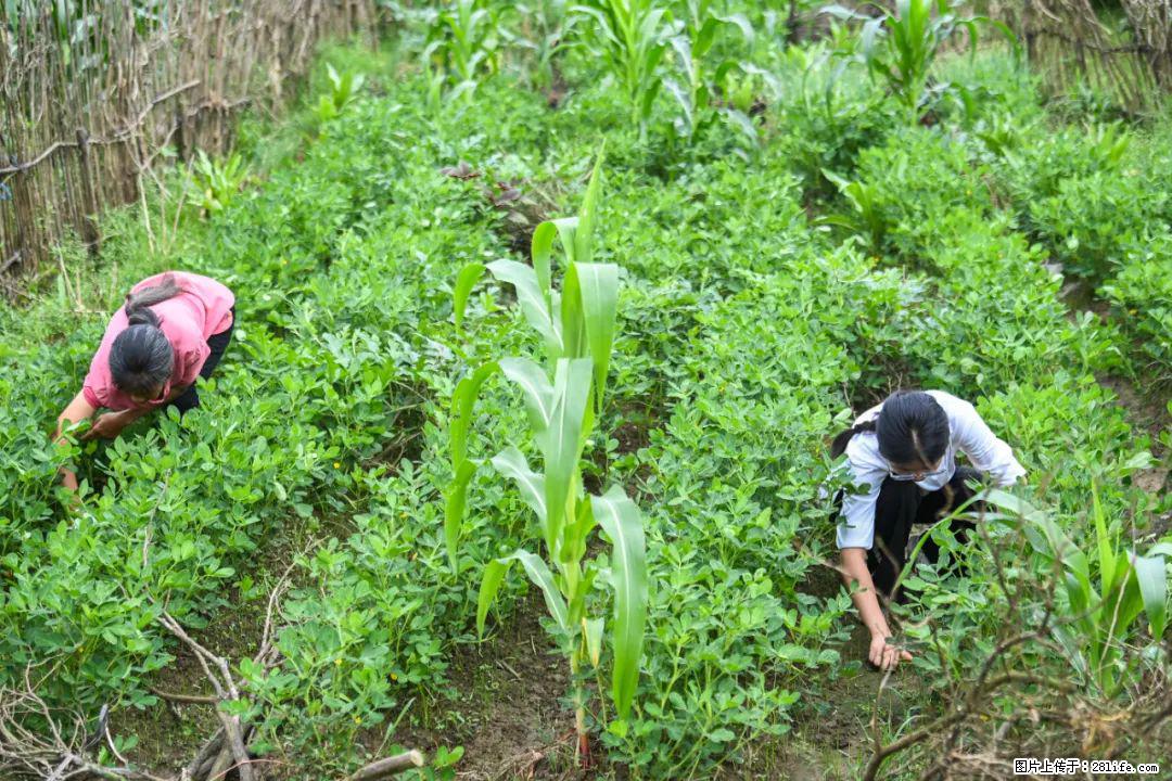 全网追的“扁担女孩”,找了一份暑假工,时薪12元 - 连云港生活资讯 - 连云港28生活网 lyg.28life.com