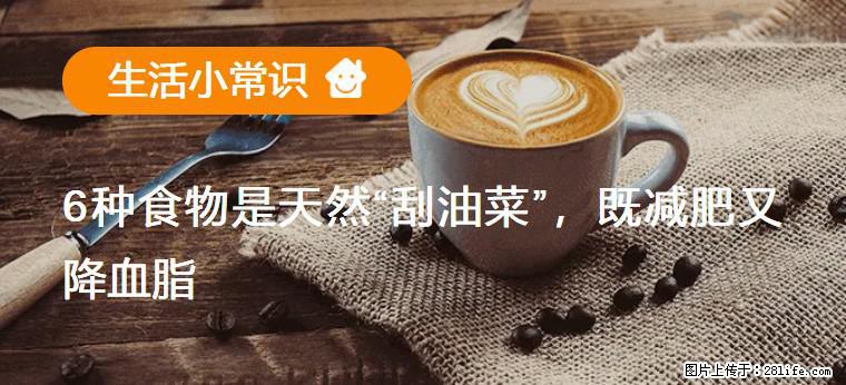【生活小常识】6种食物是天然“刮油菜”,既减肥又降血脂 - 连云港生活资讯 - 连云港28生活网 lyg.28life.com